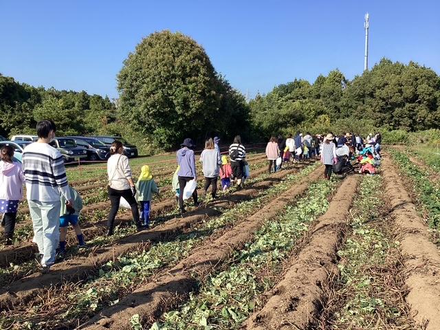 親子🍠芋🍠掘りを行いました(^▽^)/