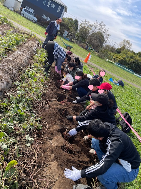 お芋掘りをしました🍠